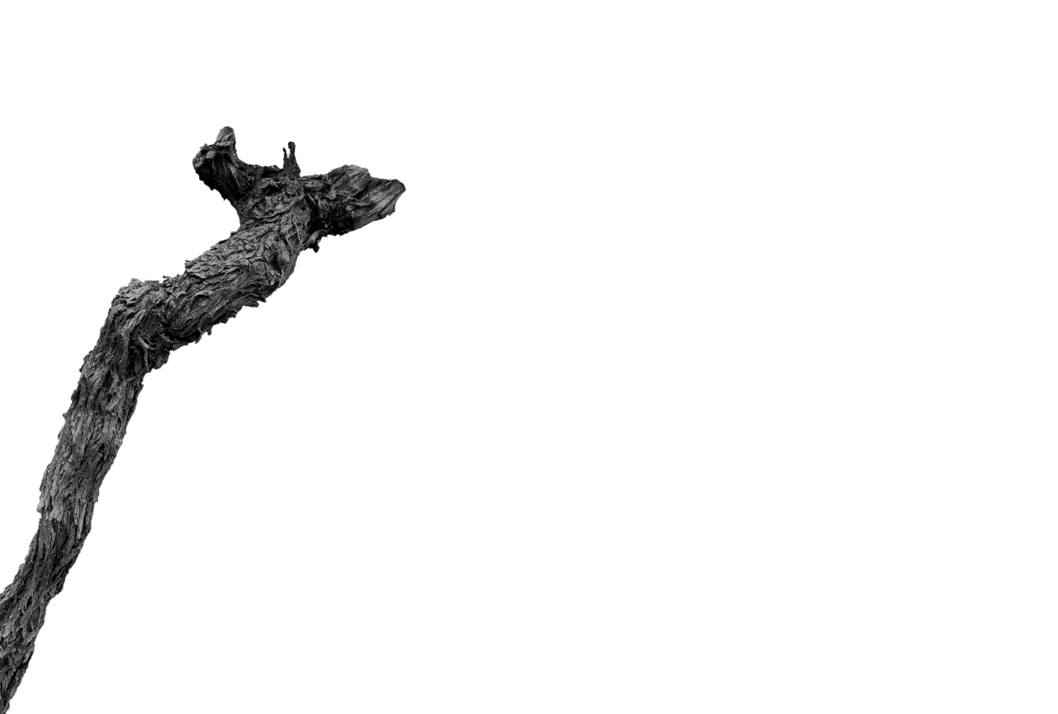 Weingut Gosch
