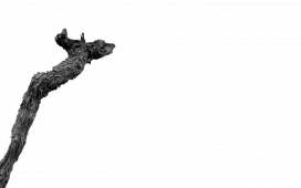 Logo-weiß_neu